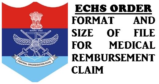 Medical Reimbursement Claim Format and Size of file for PDF format: ECHS Order