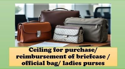 briefcase-office-bags-ladies-purse-reimbursement